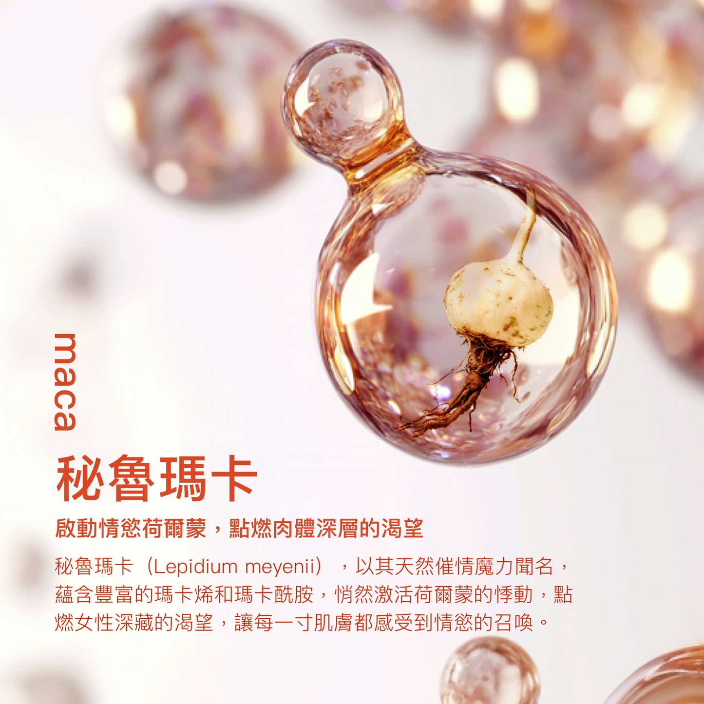 熱感潤滑液 50 ML